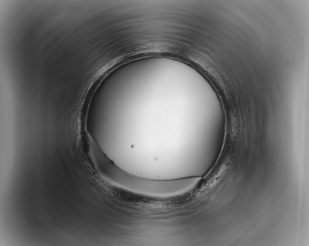 X0000094170834200711091123