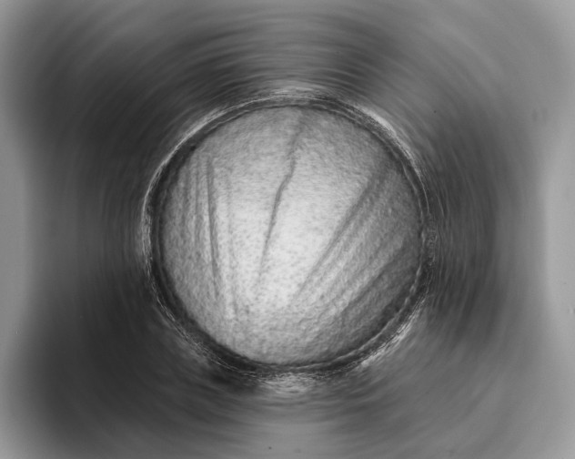 X0000094170835200711091123