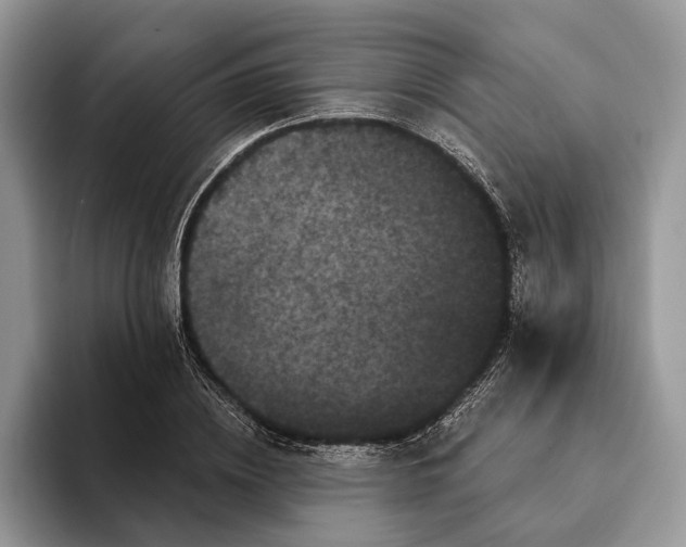 X0000094170836200711091123