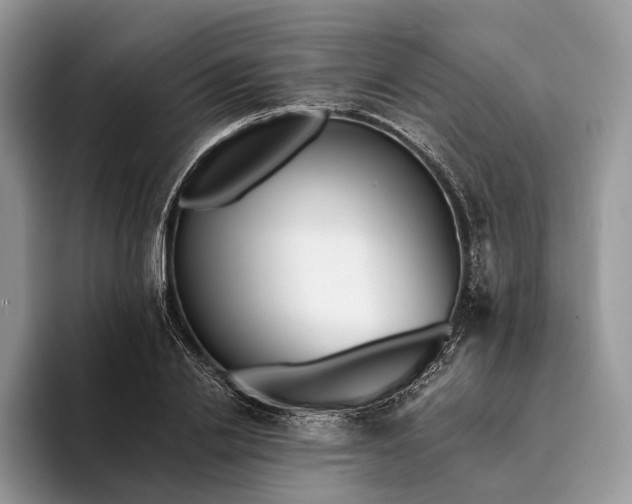 X0000094170838200711091123
