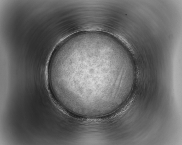X0000094170840200711091123