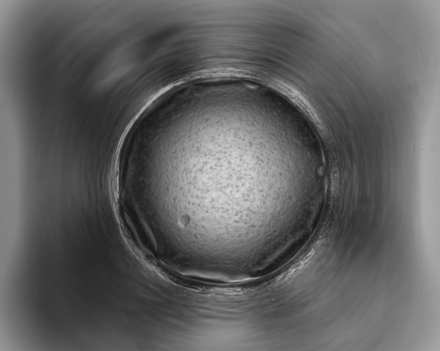 X0000094170844200711091123