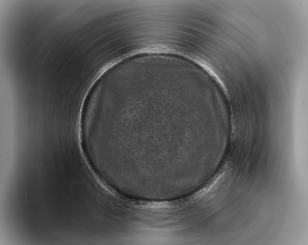 X0000094170845200711091123