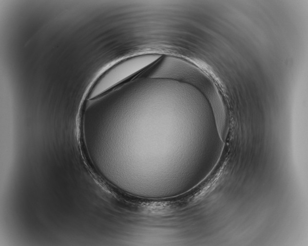 X0000094170846200711091123