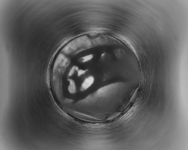 X0000094170851200711091123