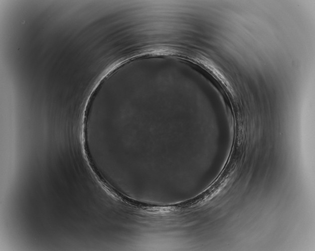 X0000094170853200711091123