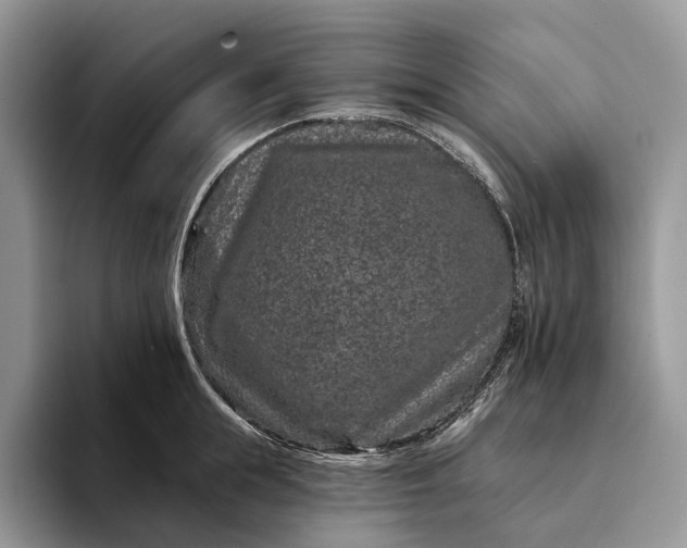 X0000094170855200711091123
