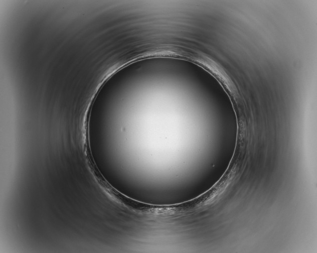 X0000094170858200711091123
