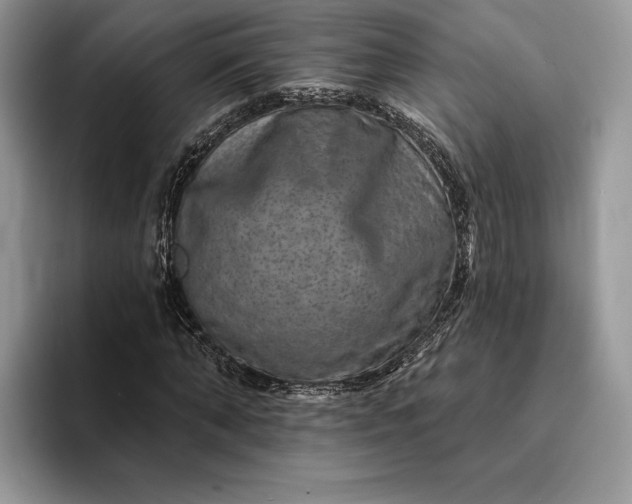 X0000094170870200711091122