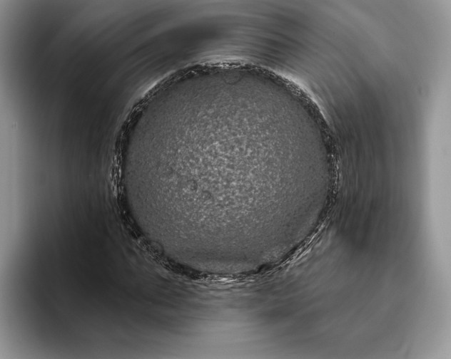 X0000094170871200711091122