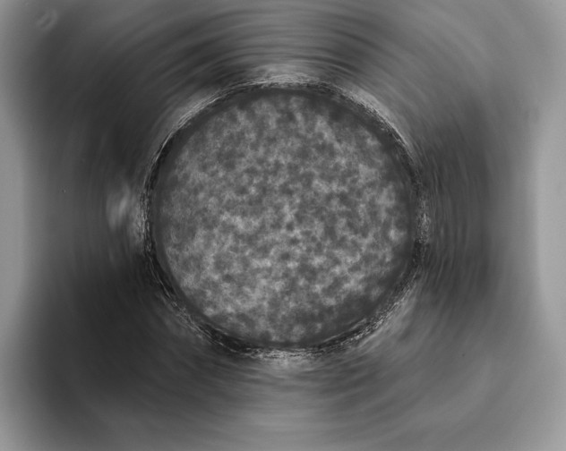 X0000094170874200711091122