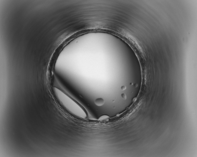 X0000094170876200711091122
