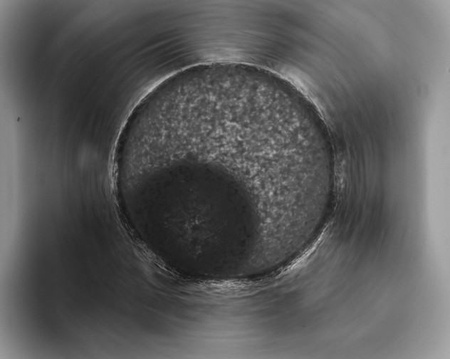 X0000094170879200711091122