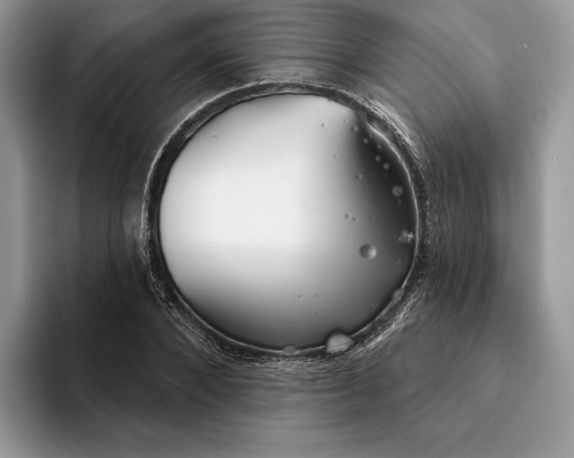 X0000094170880200711091122