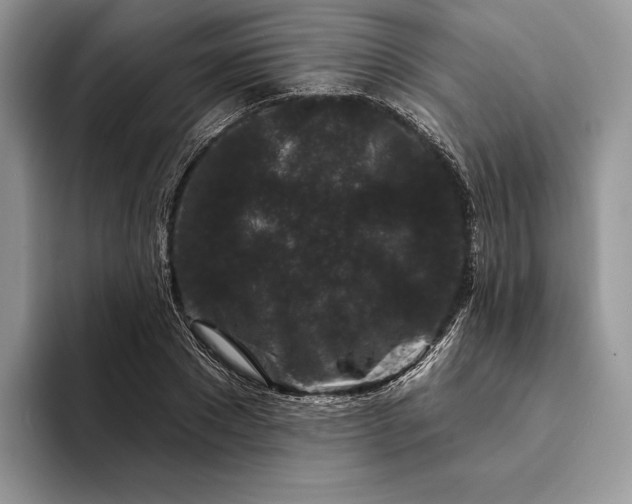 X0000094170881200711091122