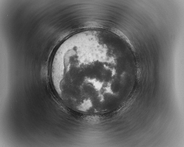 X0000094170882200711091122