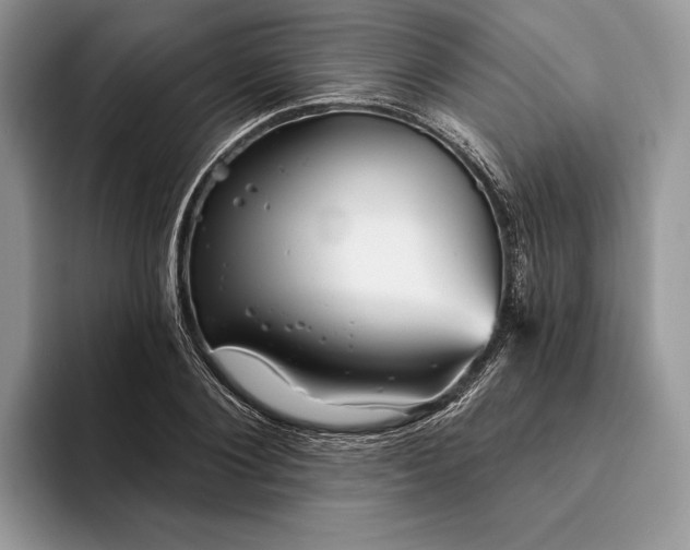X0000094170884200711091122