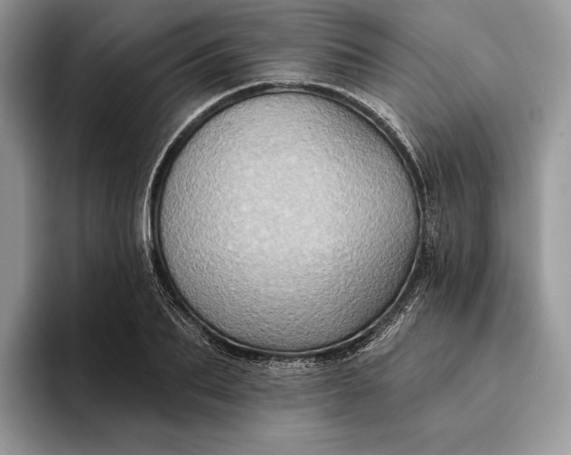 X0000094170887200711091122