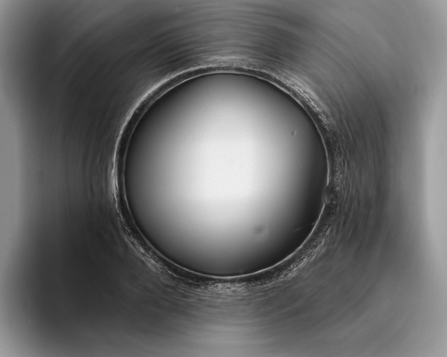 X0000094170888200711091122