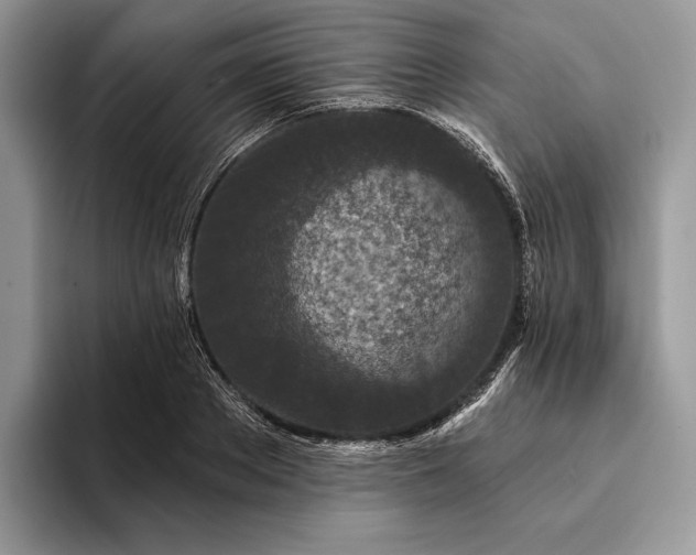 X0000094170889200711091122