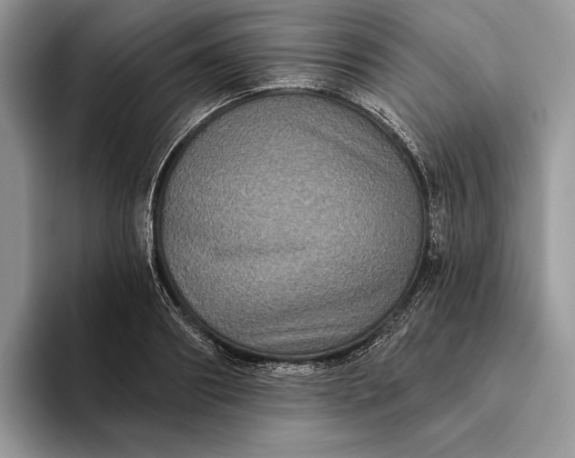 X0000094170890200711091122