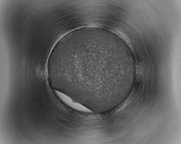X0000094170891200711091122
