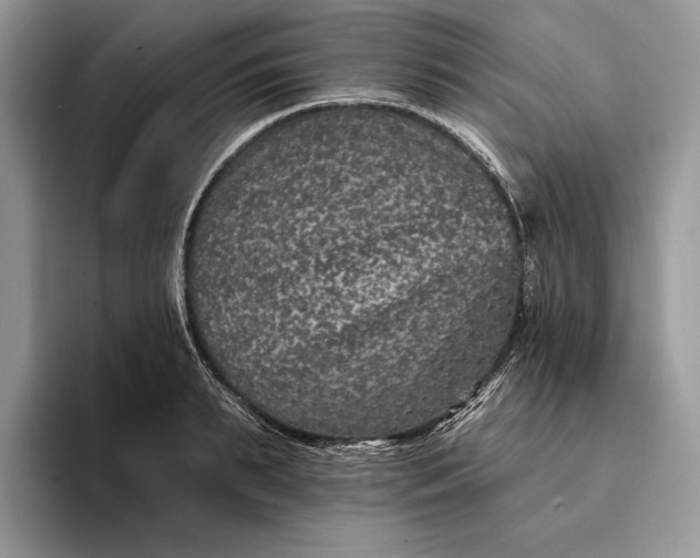 X0000094170895200711091122