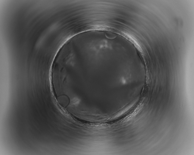 X0000094170899200711091122