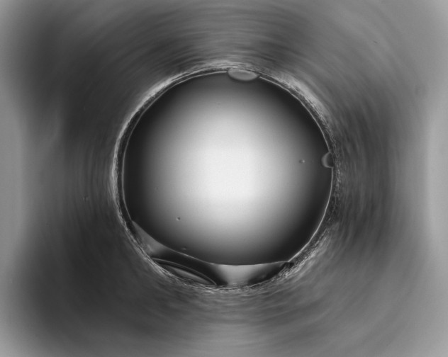 X0000094170902200711091122