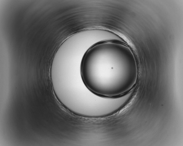 X0000094170905200711091122