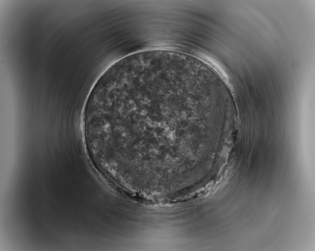 X0000094170907200711091122