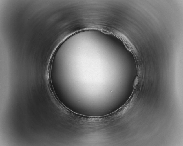 X0000094170908200711091122