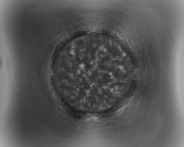 X0000094170913200711091121