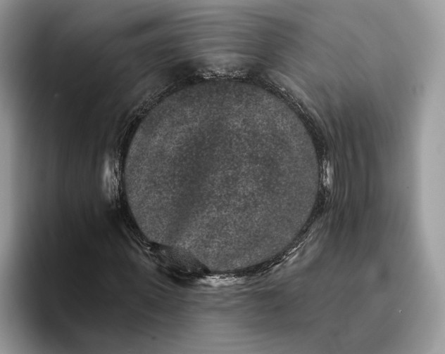 X0000094170915200711091121