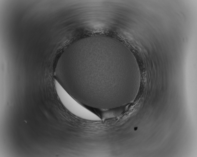X0000094170916200711091121