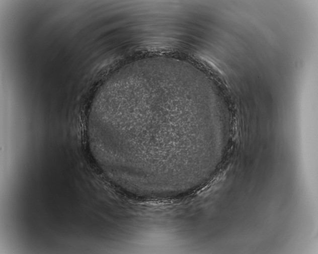 X0000094170917200711091121