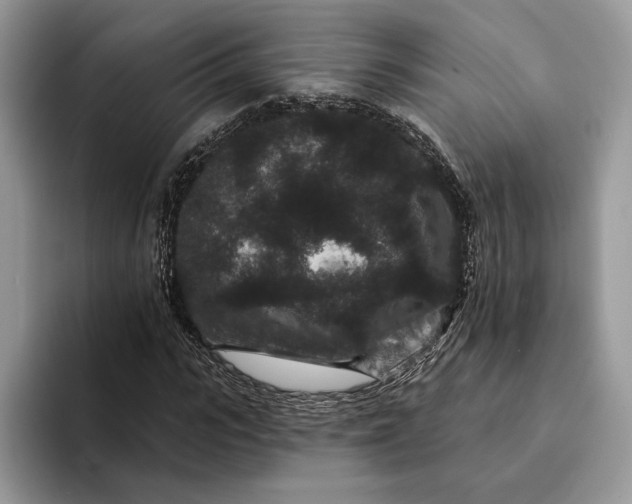 X0000094170919200711091121