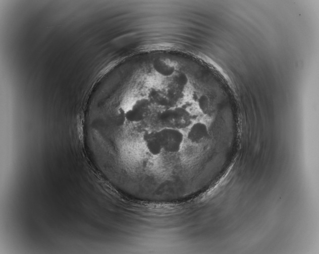 X0000094170921200711091121