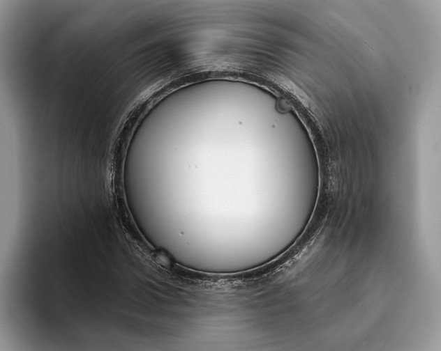 X0000094170922200711091121