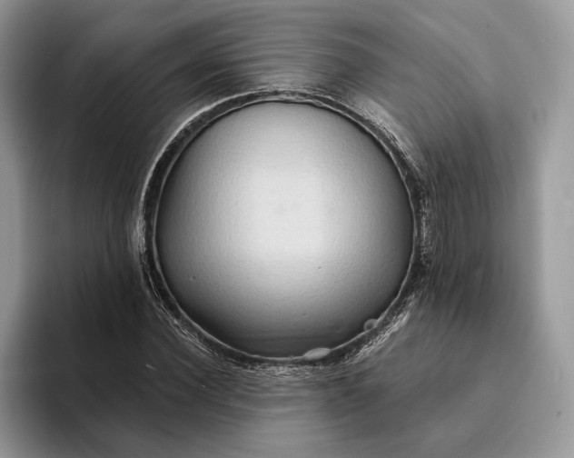 X0000094170924200711091121