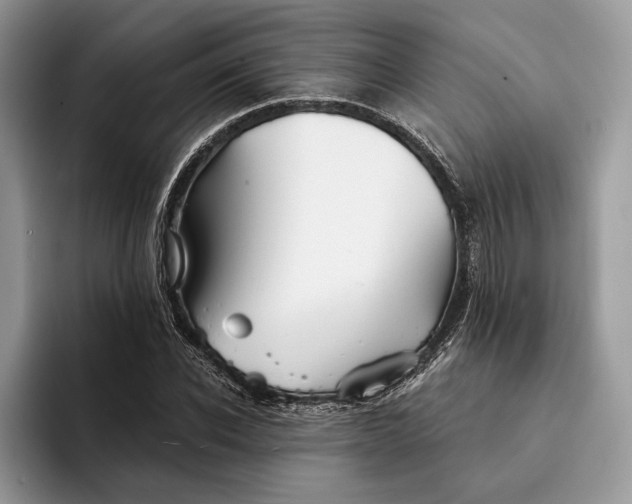 X0000094170926200711091121