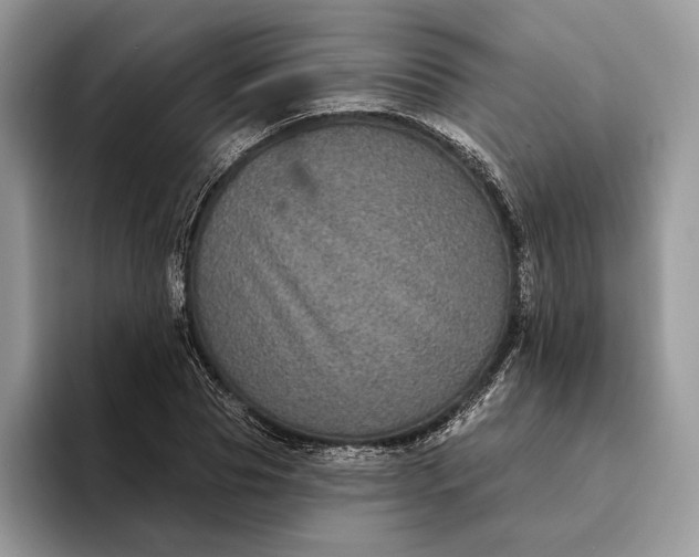X0000094170929200711091121