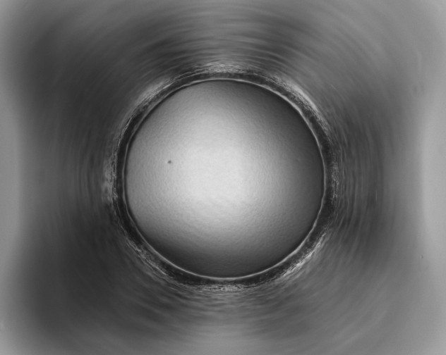 X0000094170930200711091121