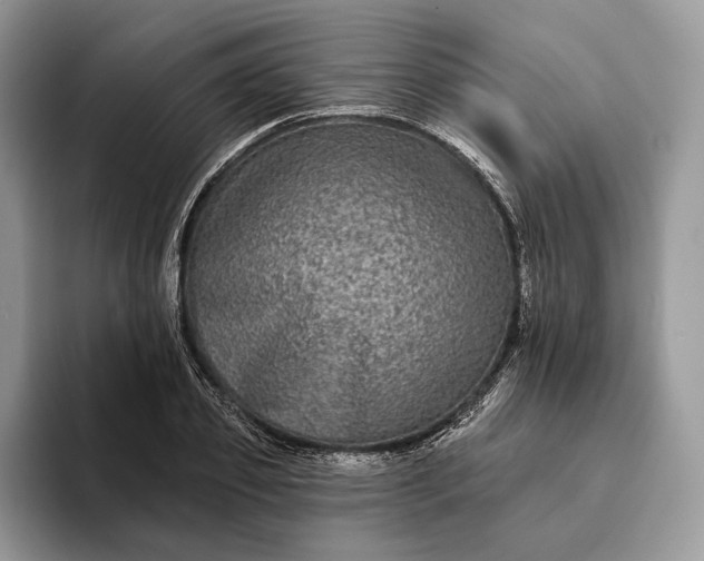 X0000094170933200711091121