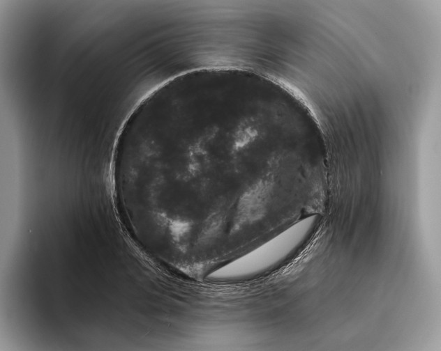 X0000094170935200711091121