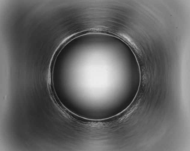 X0000094170940200711091122