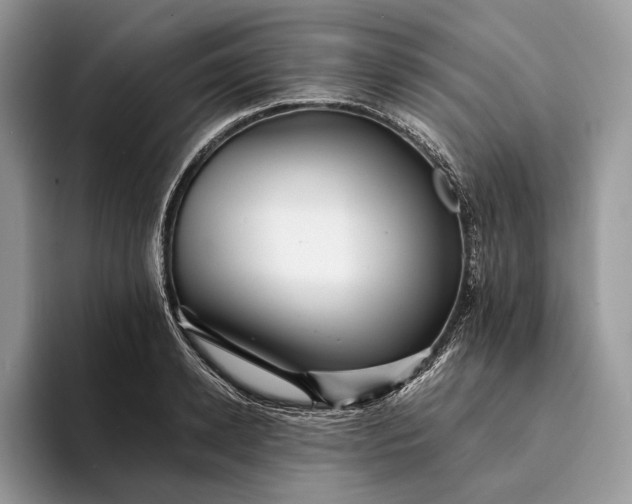 X0000094170942200711091122