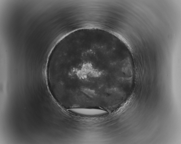 X0000094170943200711091122