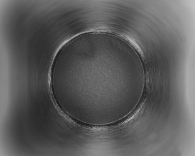 X0000094170944200711091122