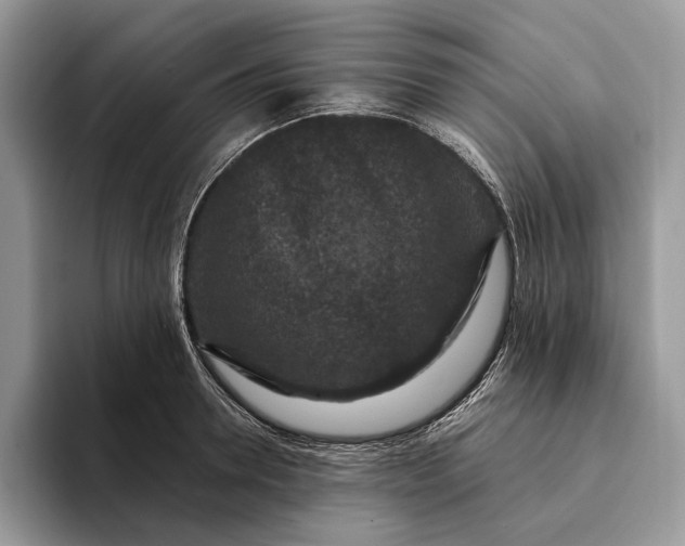X0000094170946200711091122